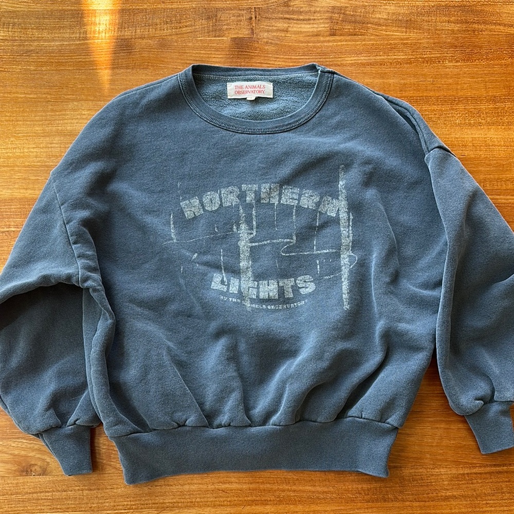 Unisex Kid’s Gray Sweatshirt by T.A.O.